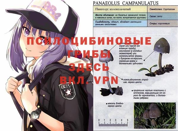хмурый Пролетарск
