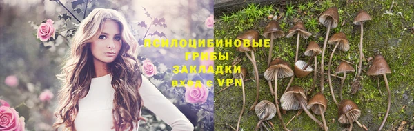 альфа пвп Краснослободск