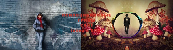 спиды Кукмор