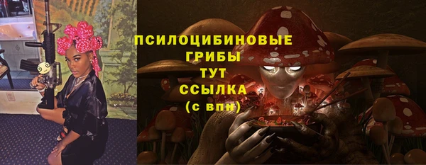 спиды Кукмор
